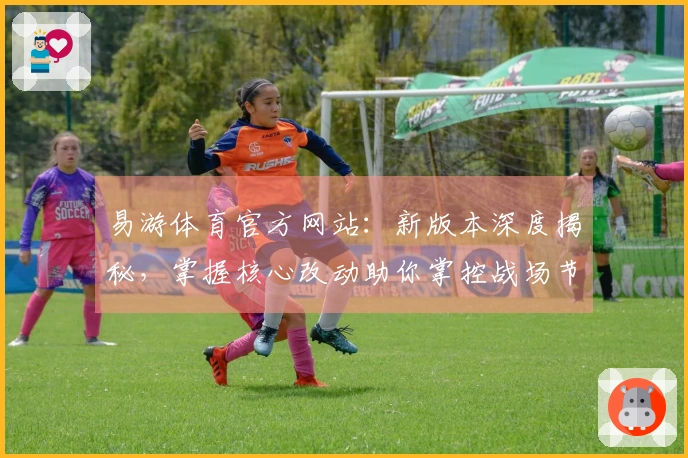 易游体育官方网站：新版本深度揭秘，掌握核心改动助你掌控战场节奏